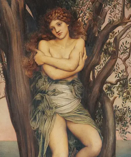 painting of a Dryad in a tree